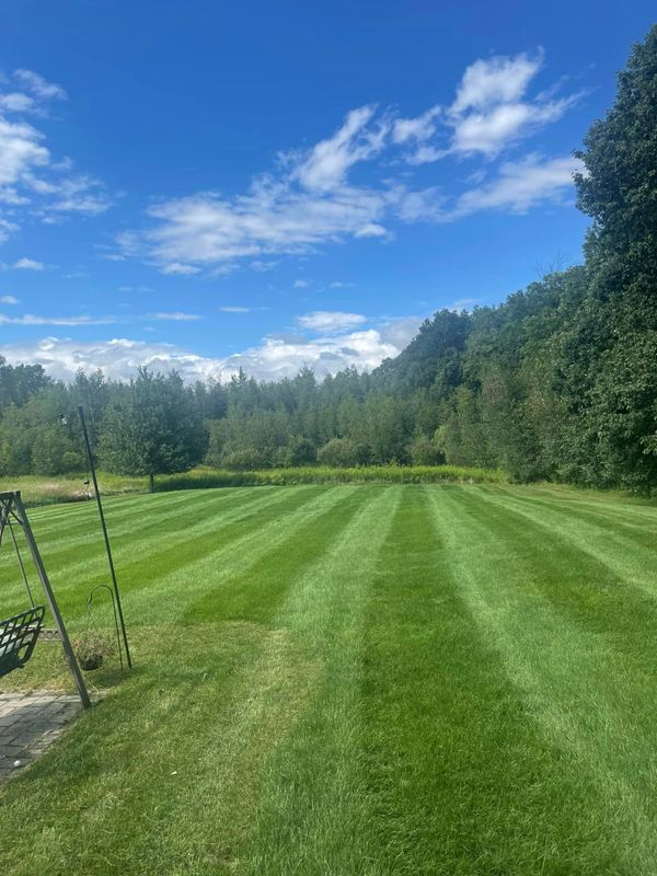Lawn Maintenance