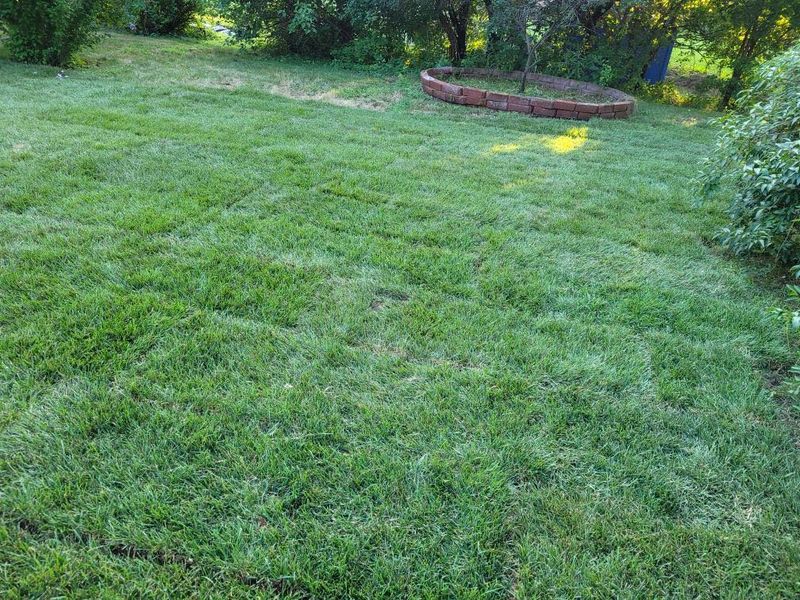 Lawn Care