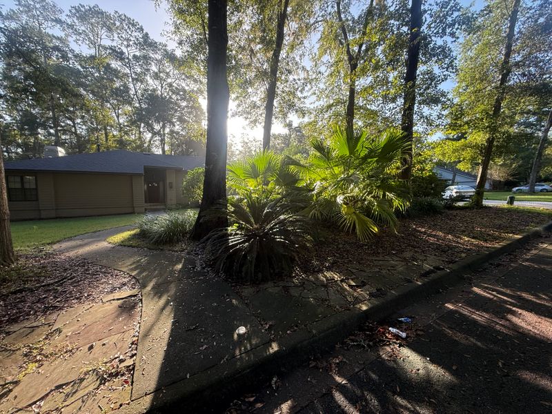 Landscape & Property Cleanup