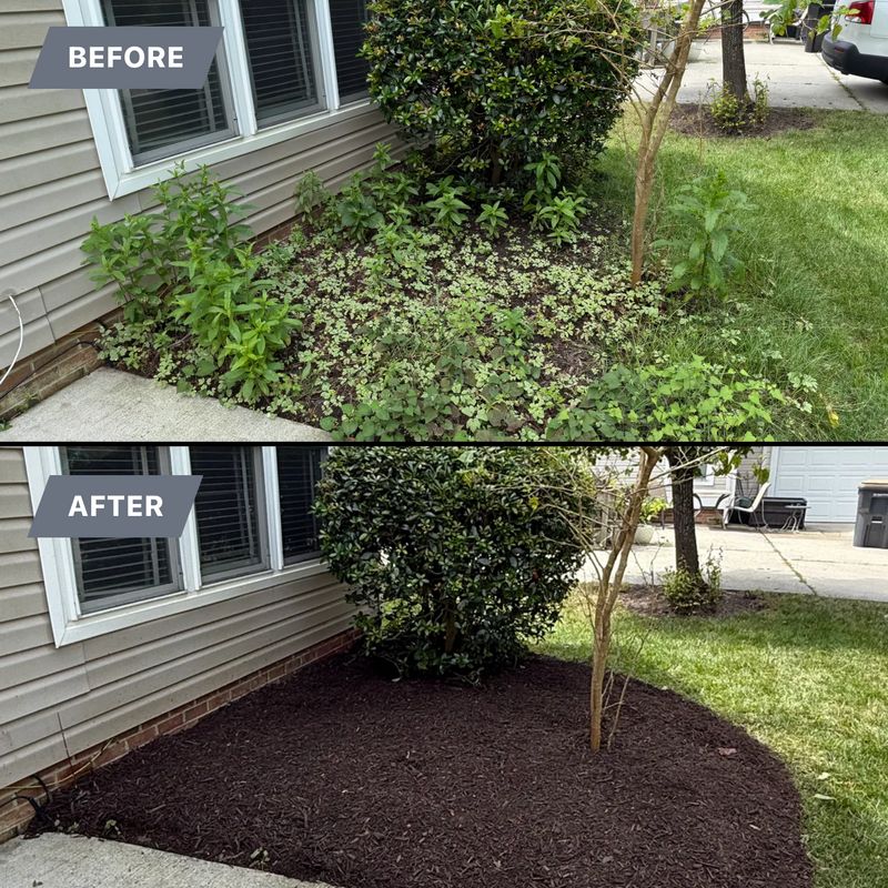 Before & After
