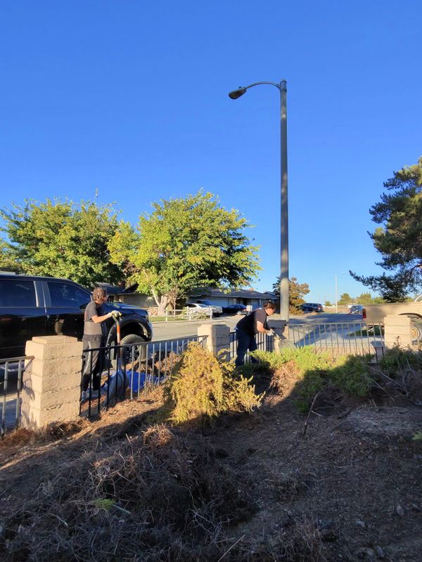 Yard Waste Removal