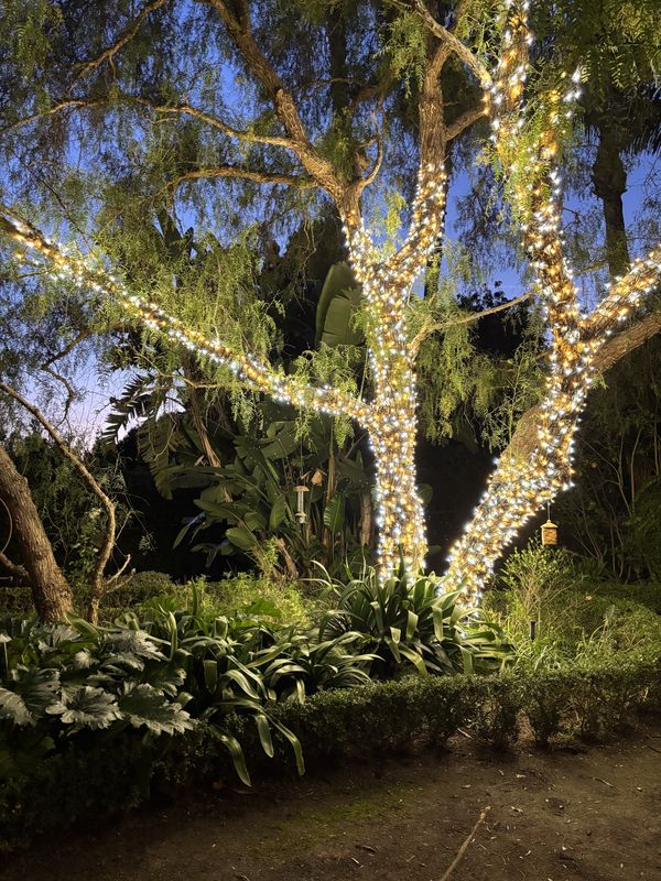 Complete Exterior Cleaning & Holiday Lighting Transformation in San Juan Capistrano