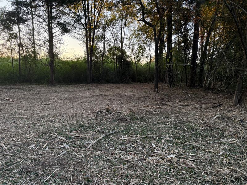 Land Clearing