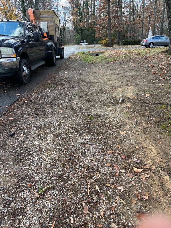Fall Clean Up
