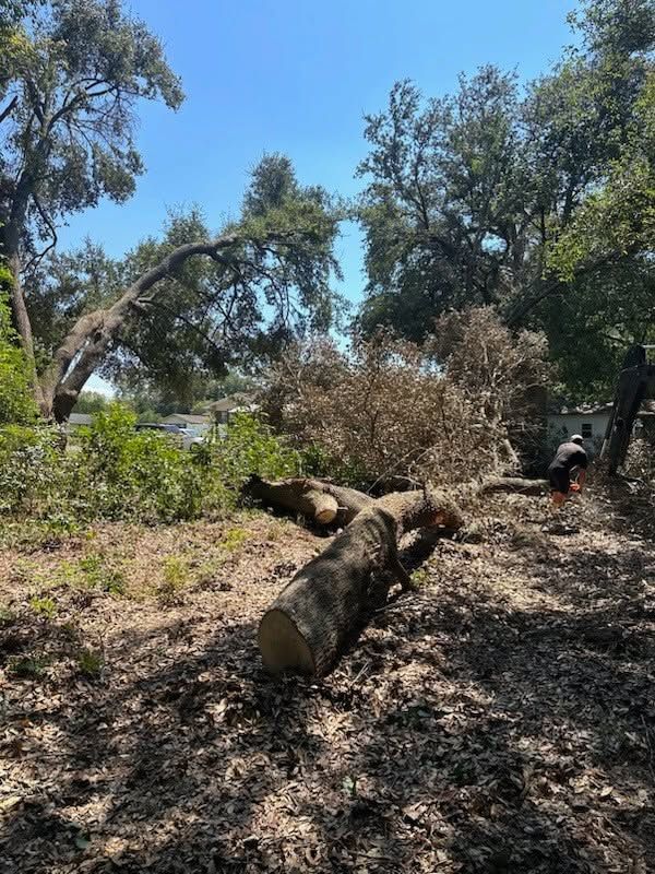 Land Clearing