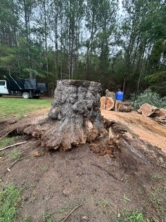 Tree Removal