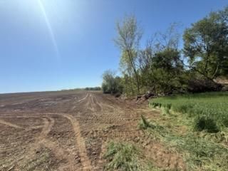Land Clearing