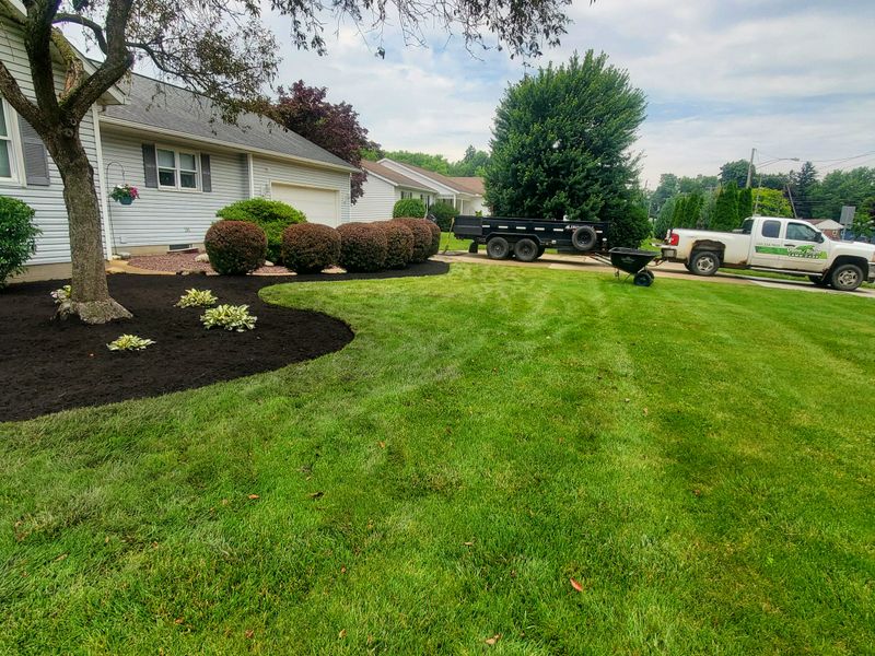Tree & Shrub Care