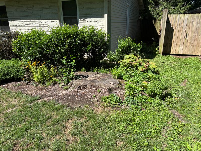 Stump Removal