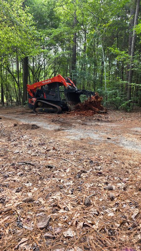 Tree Removal