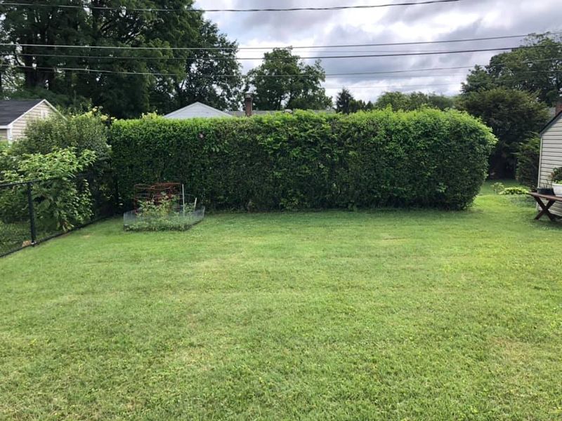 Lawn Care