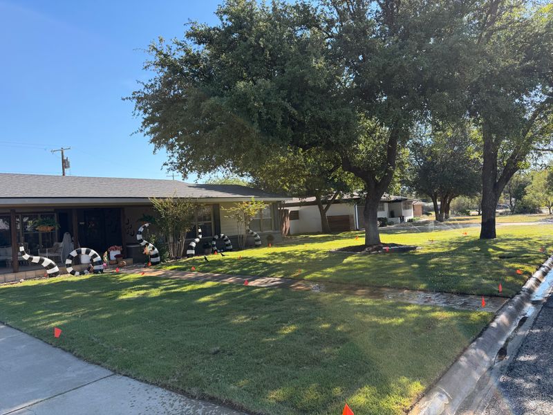 Transforming Curb Appeal: Schwartz Clips Landscaping's Stunning Lawn Makeover