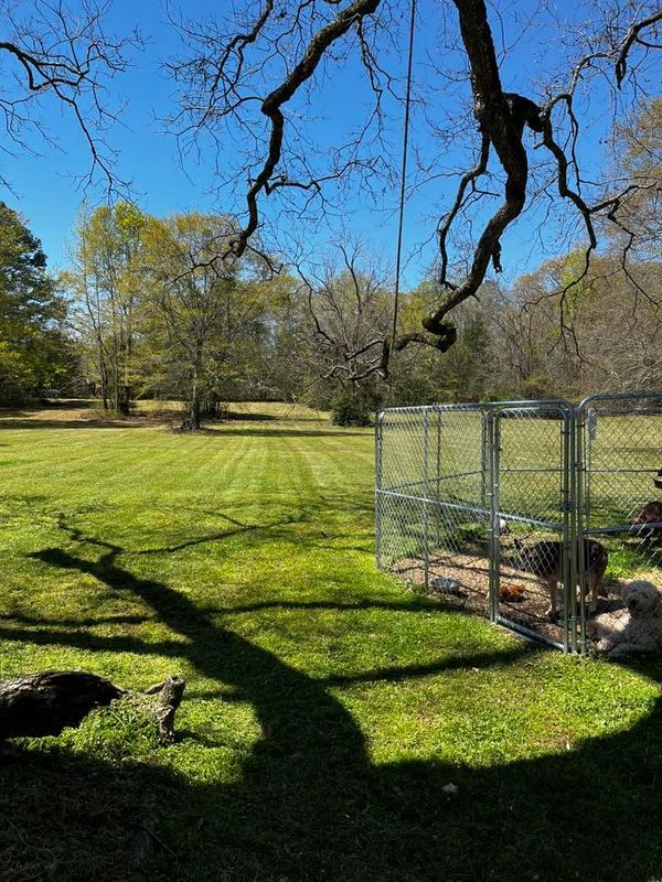 Lawn maintenance gallery