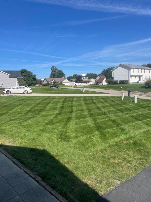 Mowing