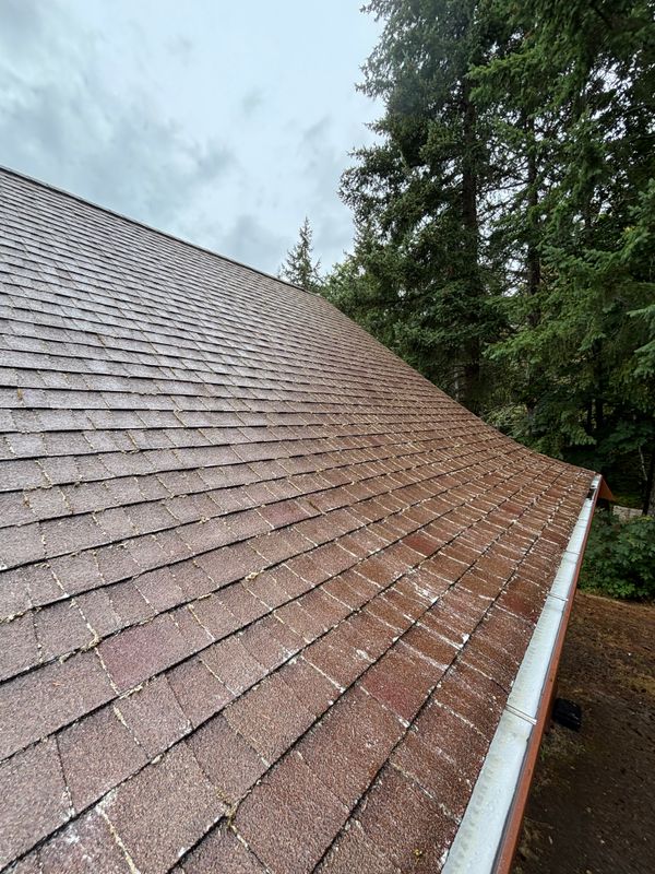 Revitalize Your Roof and Solar Panels with Elite Cleaning Co.
