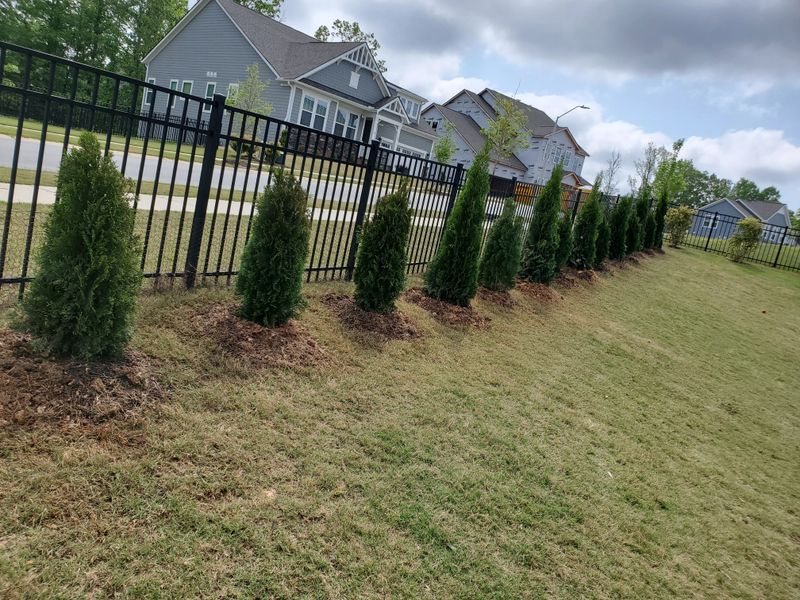 Landscaping