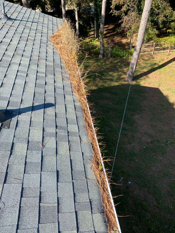 Gutter Cleaning