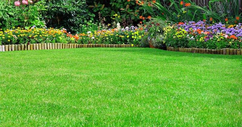 Lawn Maintenance