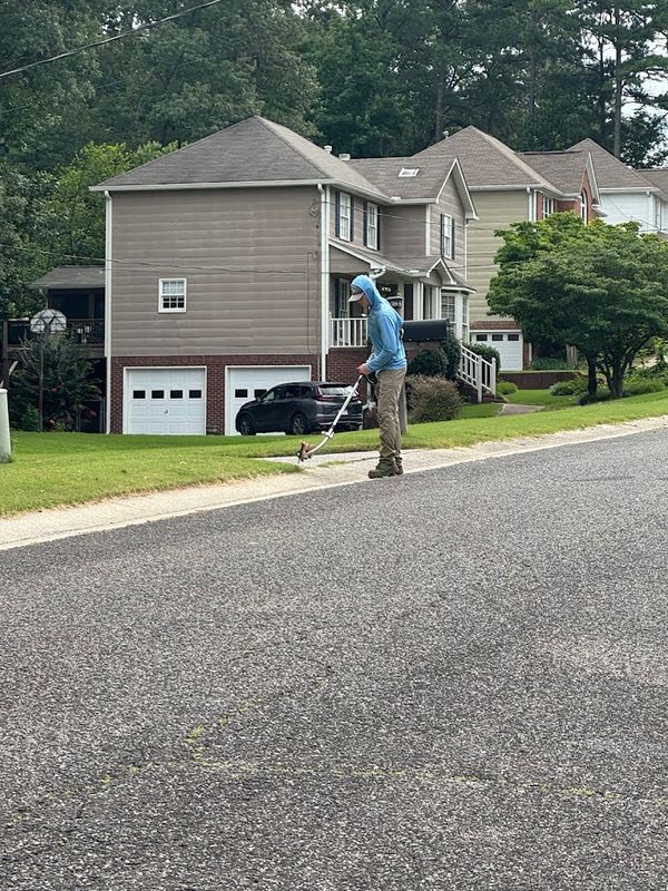 Lawn Care and Maintenance