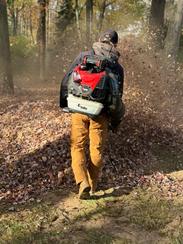 Spring & Fall Clean ups gallery