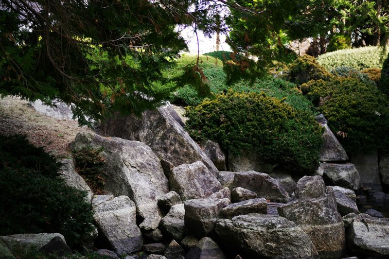 Landscape Design