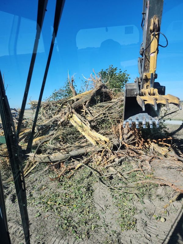 Tree Line Cleanups