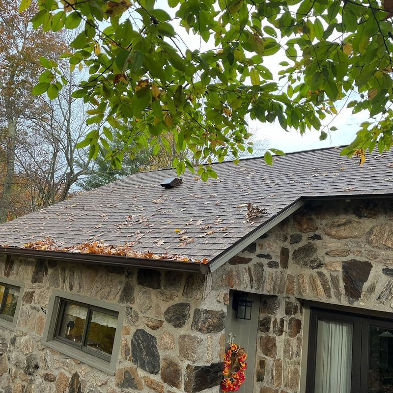 Siding Replacement