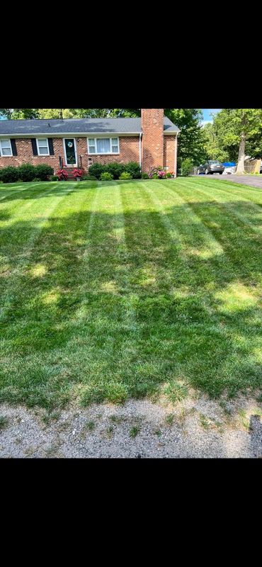 Landscaping