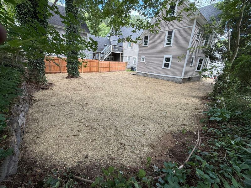 Dead Grass Removal