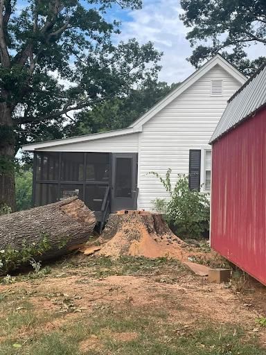 Stump Grinding