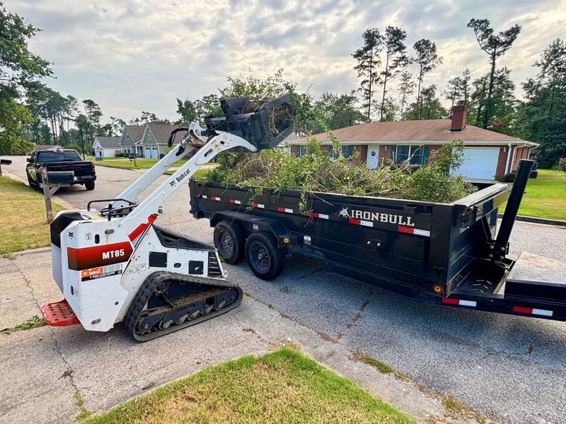 Landscape Removal