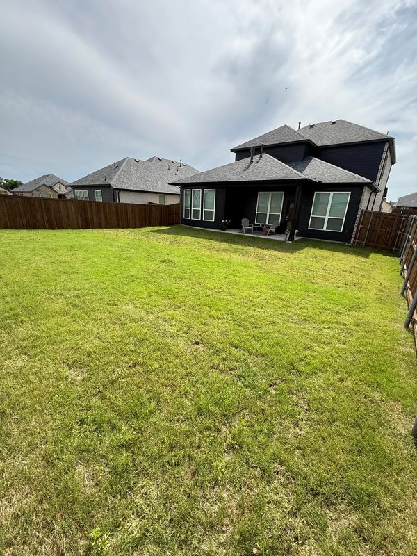 Lawn Maintenance