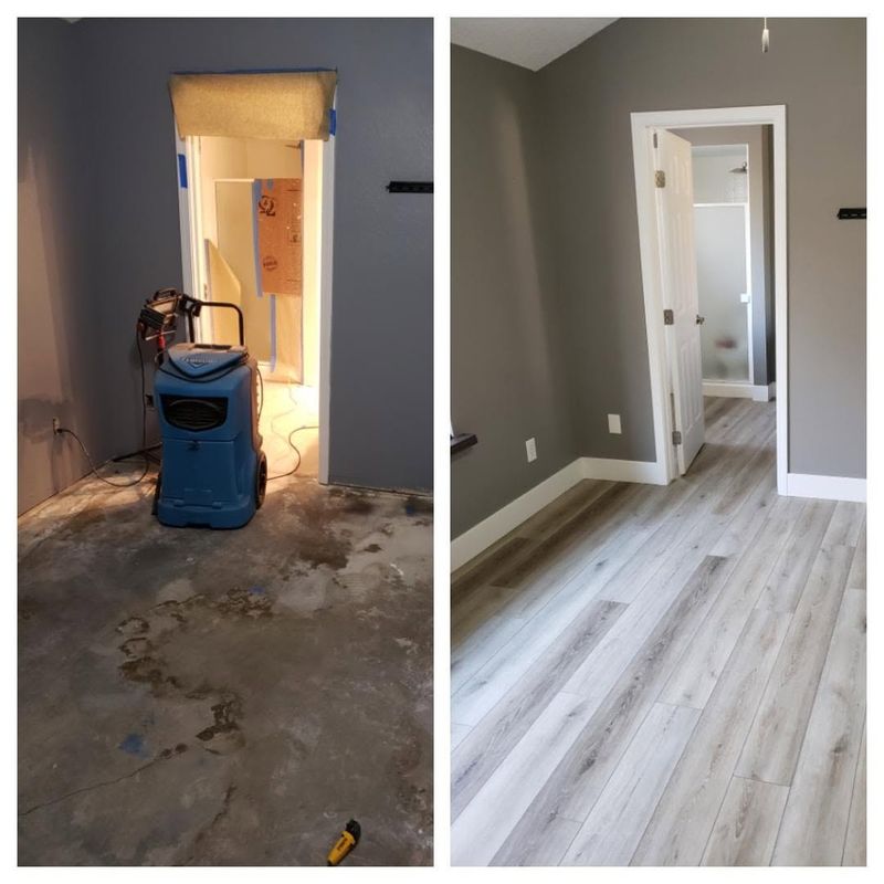 Mold Remediation