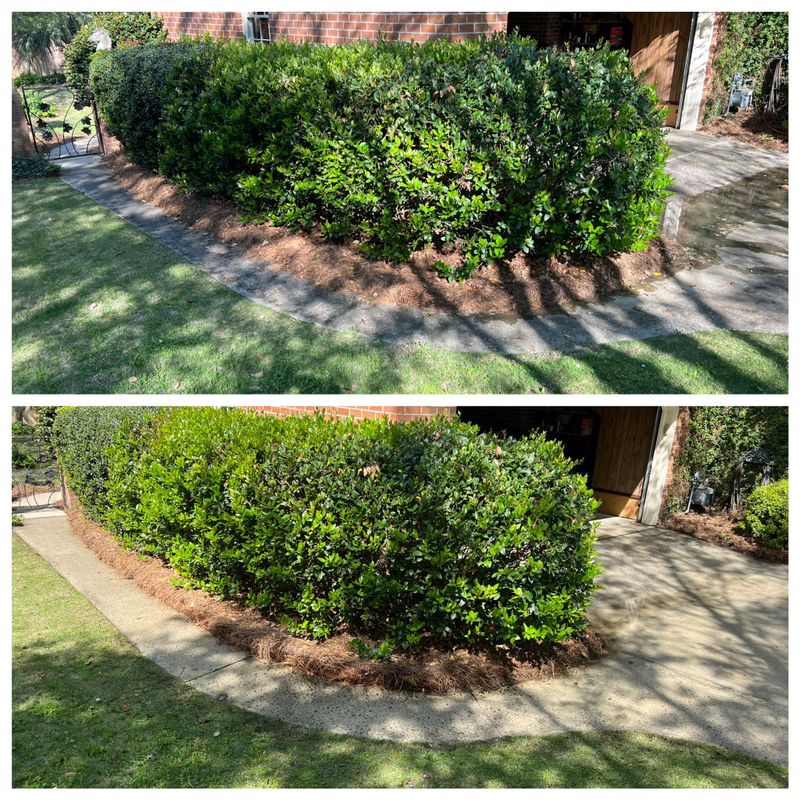 Our Past Work