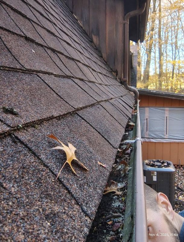 Gutter Cleaning