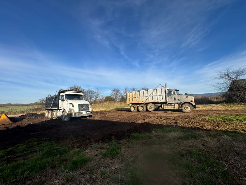 Driveway Construction