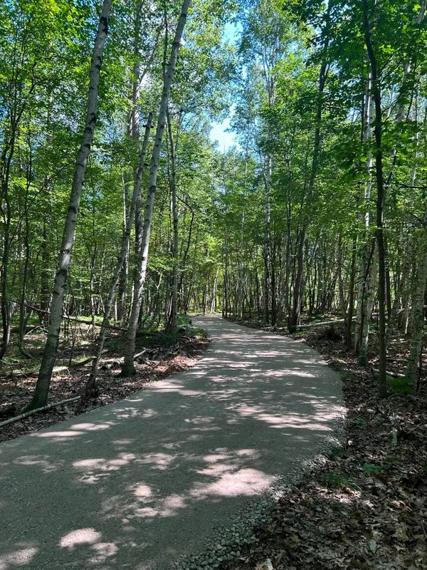 Gravel Driveway
