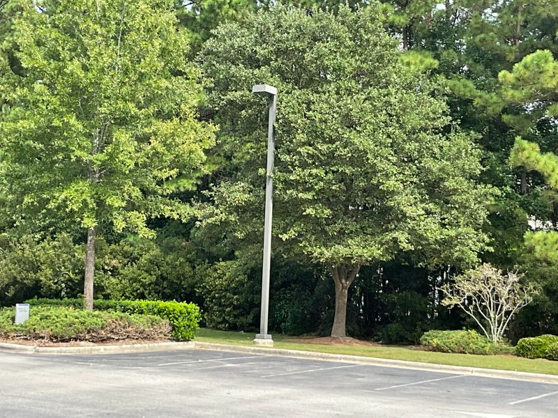 Landscaping
