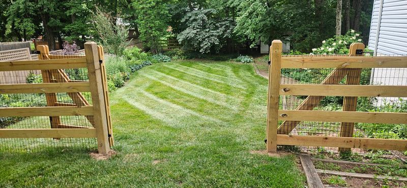 Lawn Maintenance