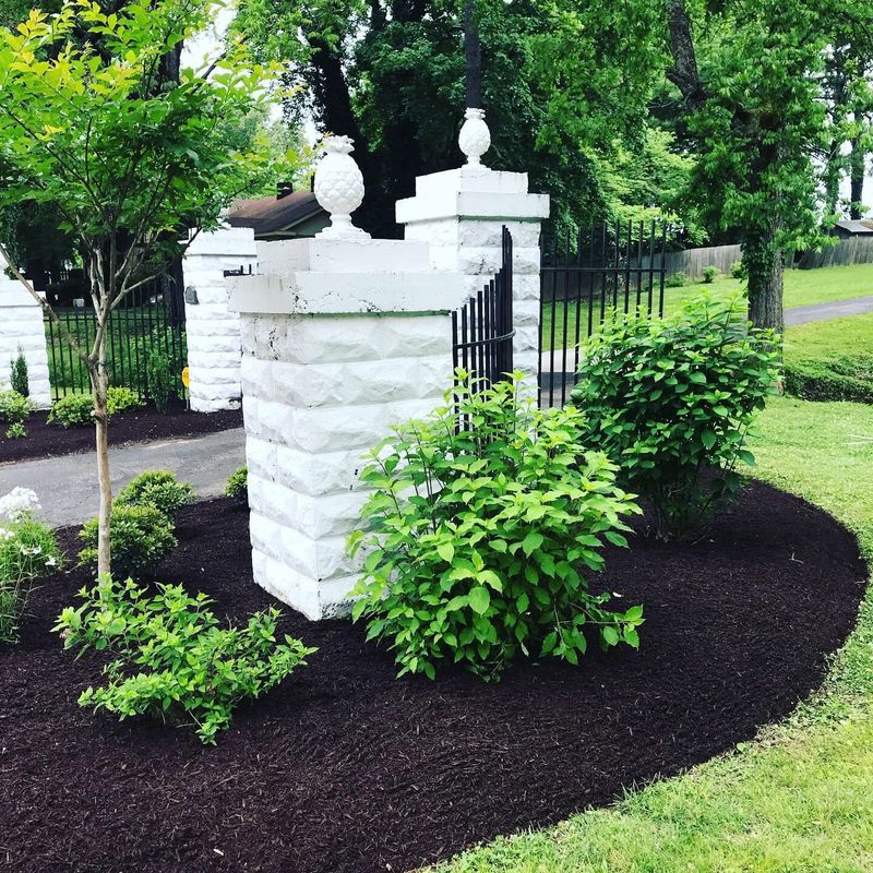 Tree and Shrub Care