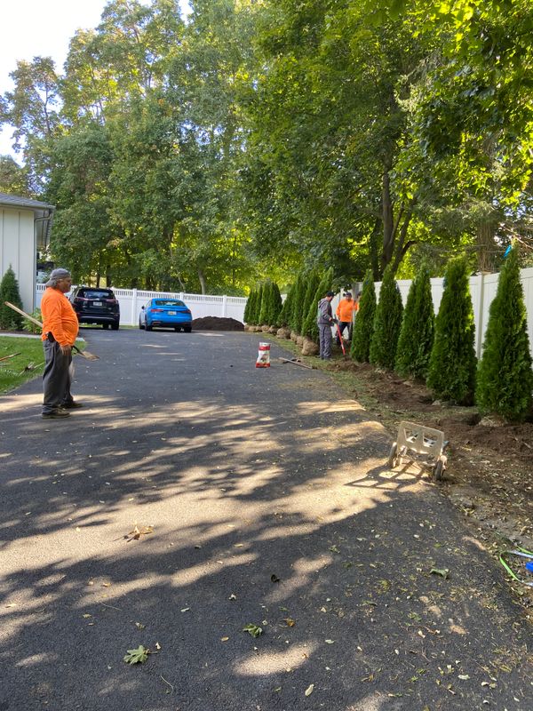 Landscaping