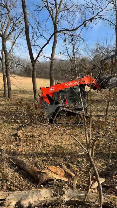 Land Clearing