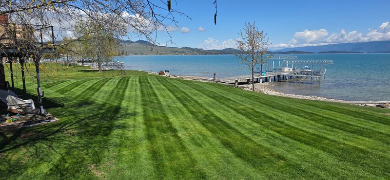 Lawn Maintenance
