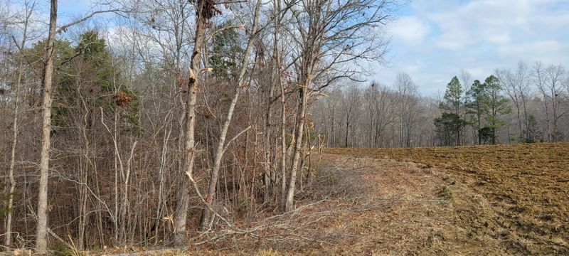 Land Clearing