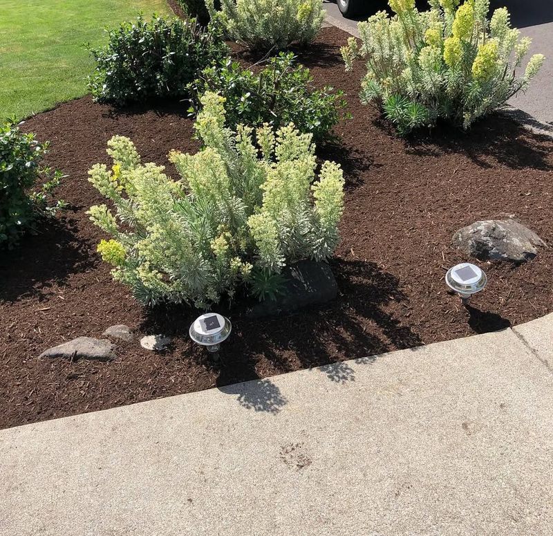 Mulch Installation