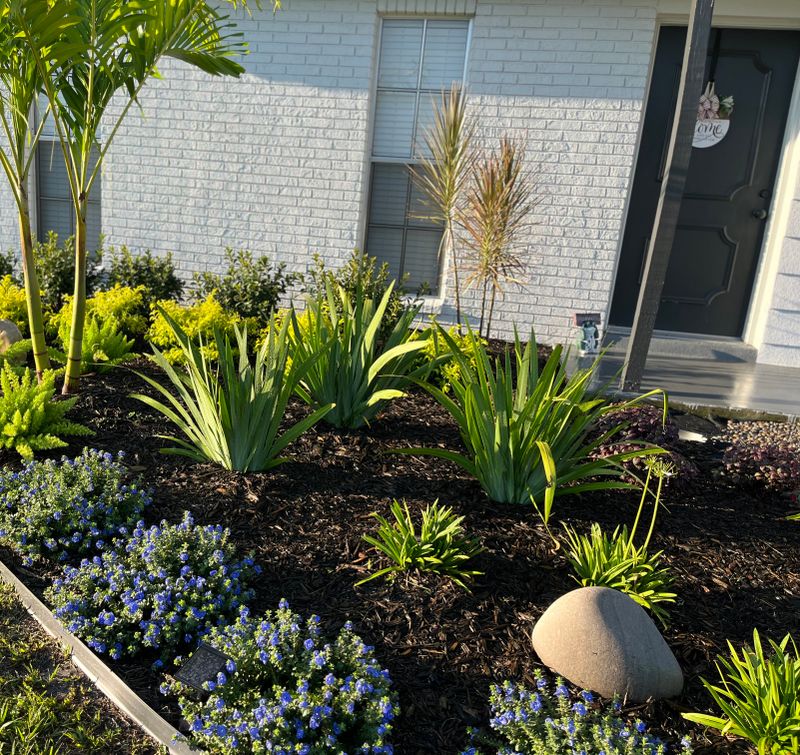 Landscape Design and Installation