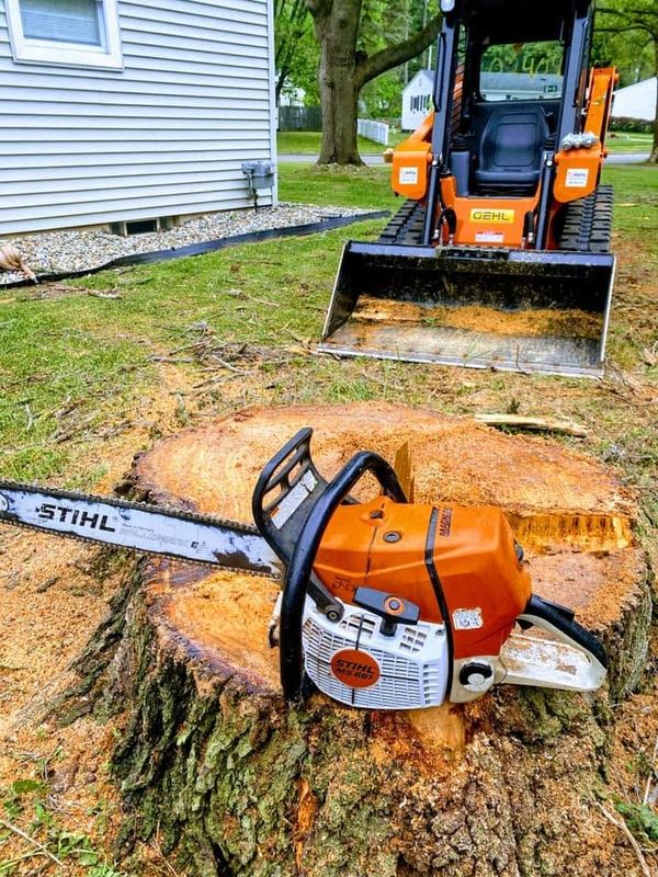 Tree Removal
