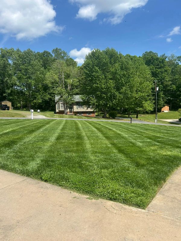 Lawn Mowing