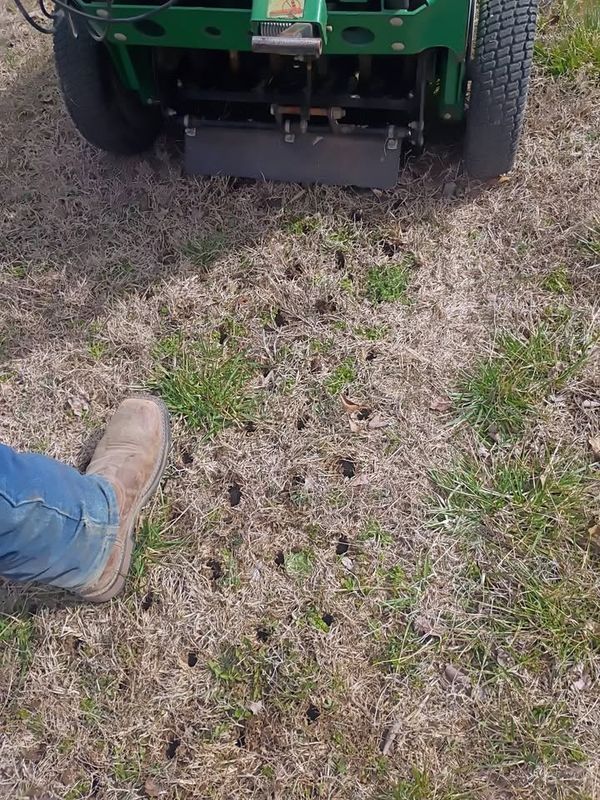 Commercial Landscaping & Lawncare