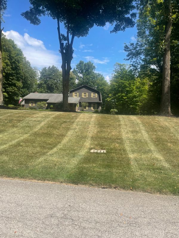 Mowing